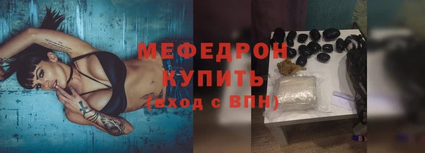 гашик Богданович