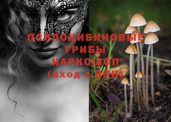 гидра Верхнеуральск