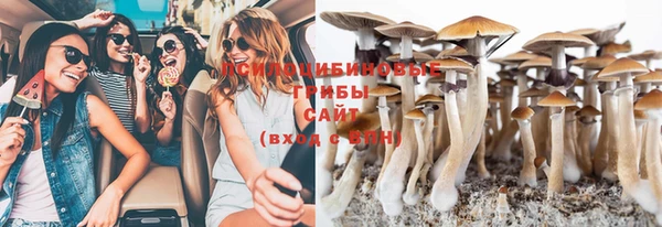 гидропоника Волосово