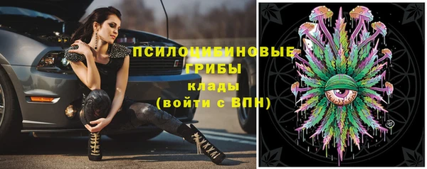мяу мяу мука Волоколамск