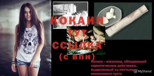 тгк Верея
