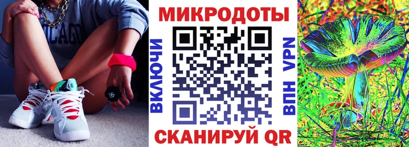 Псилоцибиновые грибы Psilocybe  Зеленодольск 